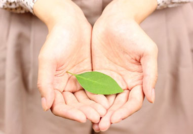 よきセラピストとは